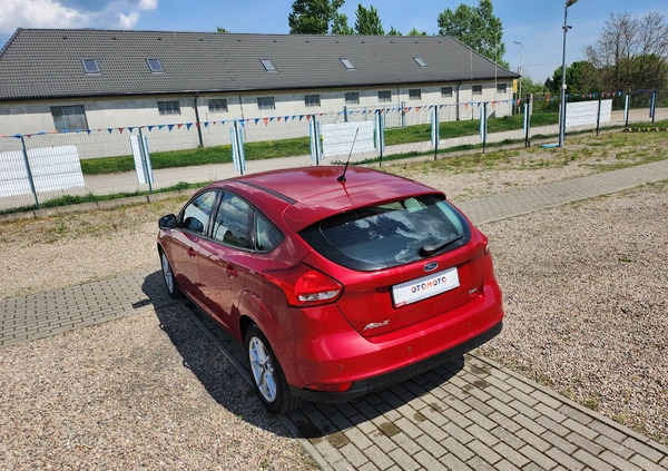 Ford Focus cena 36900 przebieg: 117900, rok produkcji 2016 z Piła małe 466